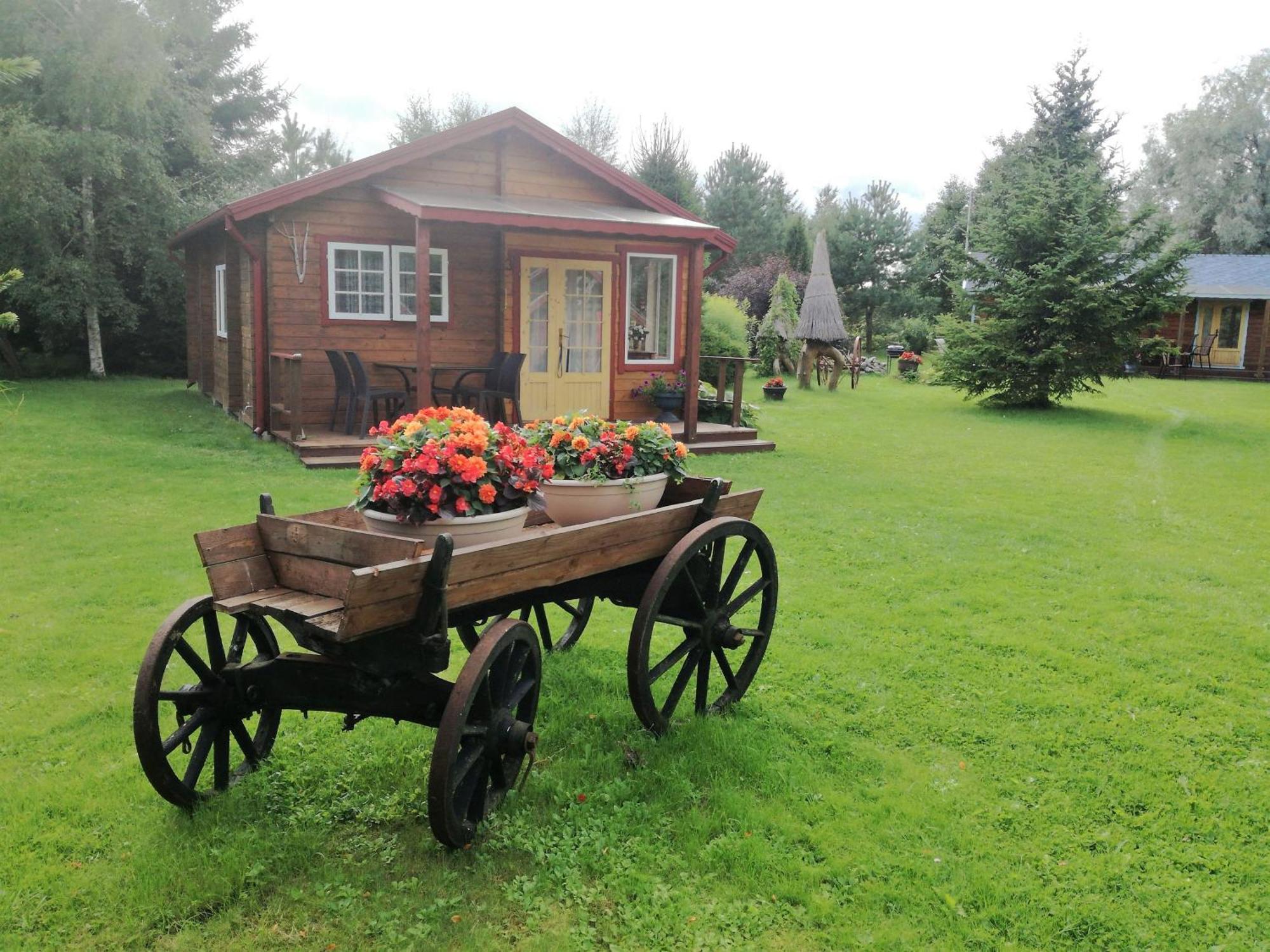 Lepametsa Holiday Houses Nasva Bilik gambar